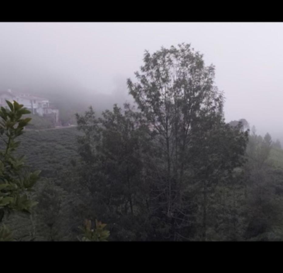 The Valley Villa Kotagiri Exteriér fotografie